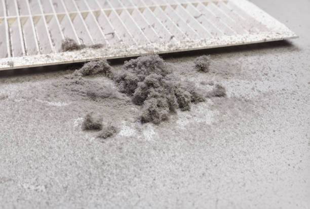 Best Local Air Duct Cleaning Services  in Hazlehurst, MS